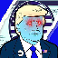 TRUMP icon