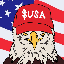 USA icon