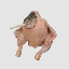 SCF icon