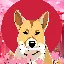 KEN icon