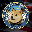 DOGE icon