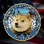 DOGE icon