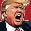 TRUMP icon