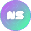 NS icon
