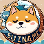 NAMI icon