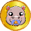 BABYHIPPO icon