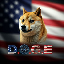 DOGE icon