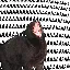 AAA icon