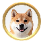 AKITA icon