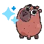 TCAPY icon