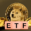DOGETF icon