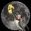 DOGEMOON icon