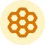 HONEY icon