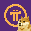 PIDOGE icon