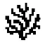 CORAL icon