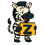 Z icon