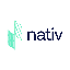 NTV icon