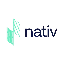NTV icon