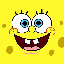 SPONGE icon