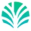 PALM icon