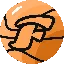 FST icon
