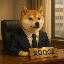 XDOGE icon