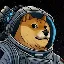 DOGE-1 icon