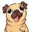 PUG icon