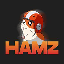 HAMZ icon