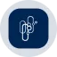 CAPRon icon