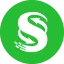 CNS icon