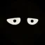HANC icon