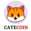 CATE icon