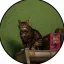 GATO icon