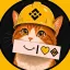 BNBCAT icon