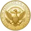 GOOSE icon