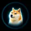 SIRIUS icon