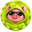 PORKU icon