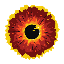 EYE icon