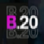B20 icon