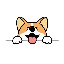 CORGI icon